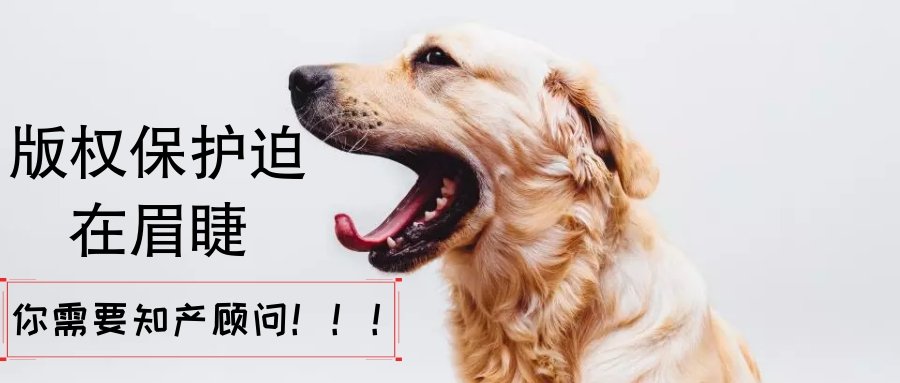 版权登记为商标撑起一把保护伞！